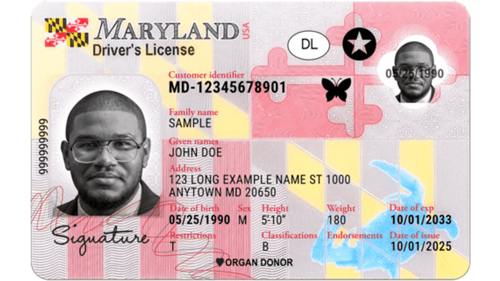 Maryland sample driver's license showing the black butterfly hidden-disability indicator